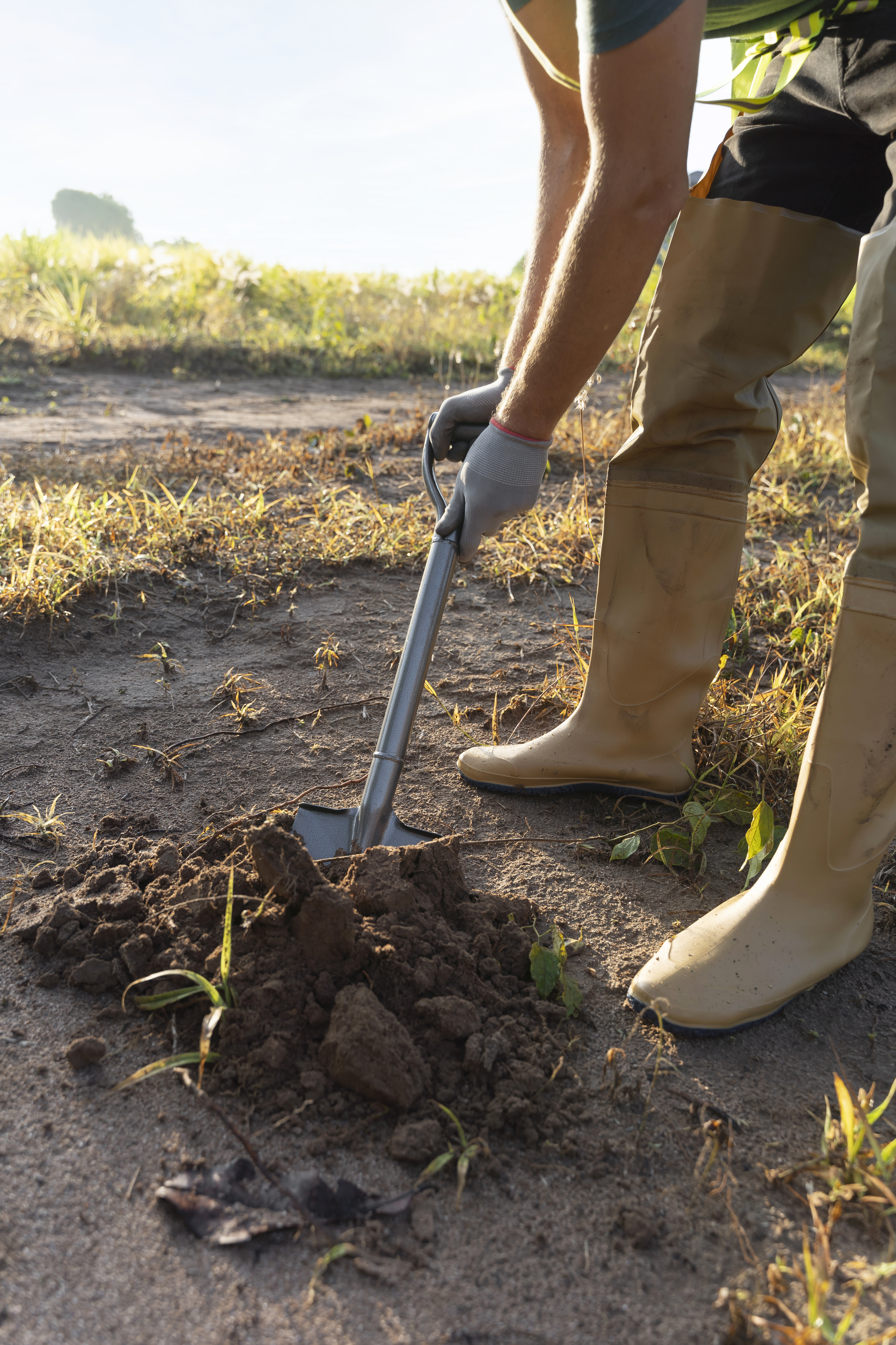 Analyses & conseil agronomique